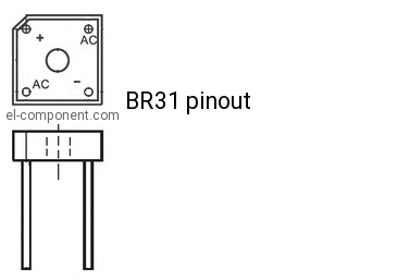 BR31 pinout