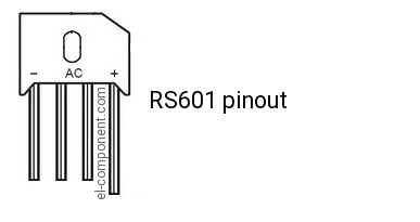 RS601 pinout